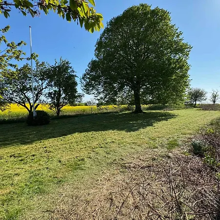 Idyllic With Sea View And Sunsets Rønne